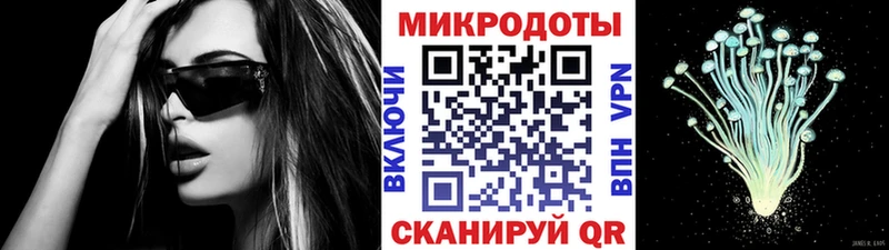 купить   Бузулук  Галлюциногенные грибы Psilocybe 